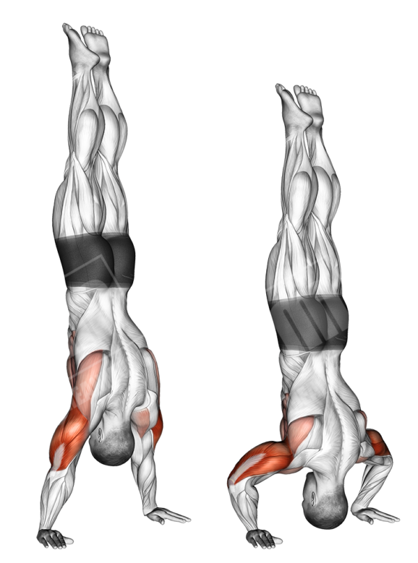 Upper Body Fat Burning Outdoor Workout Meanmuscles