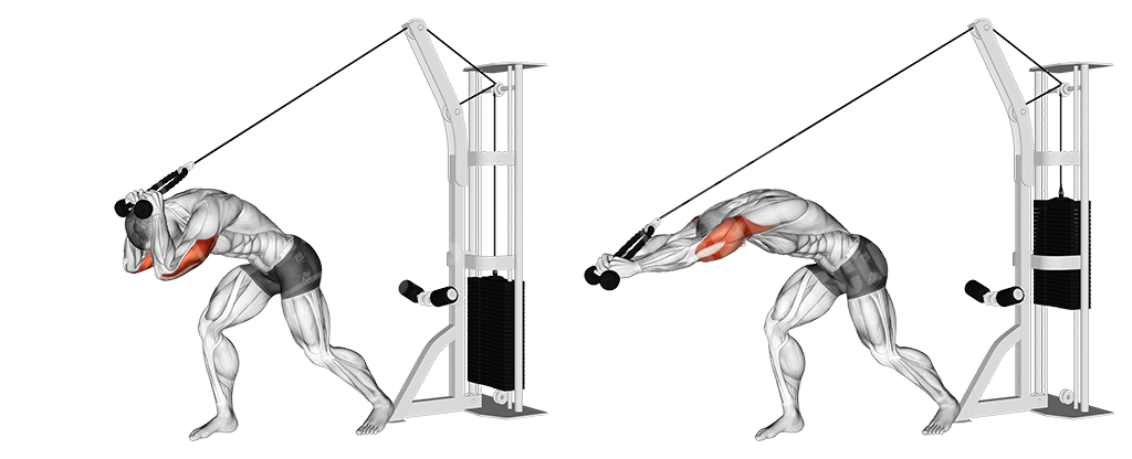 pulley rope triceps extension