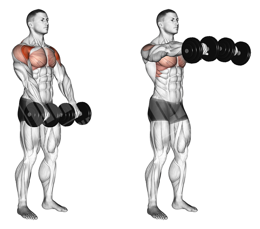 Shoulder Dumbbell Workout - Meanmuscles