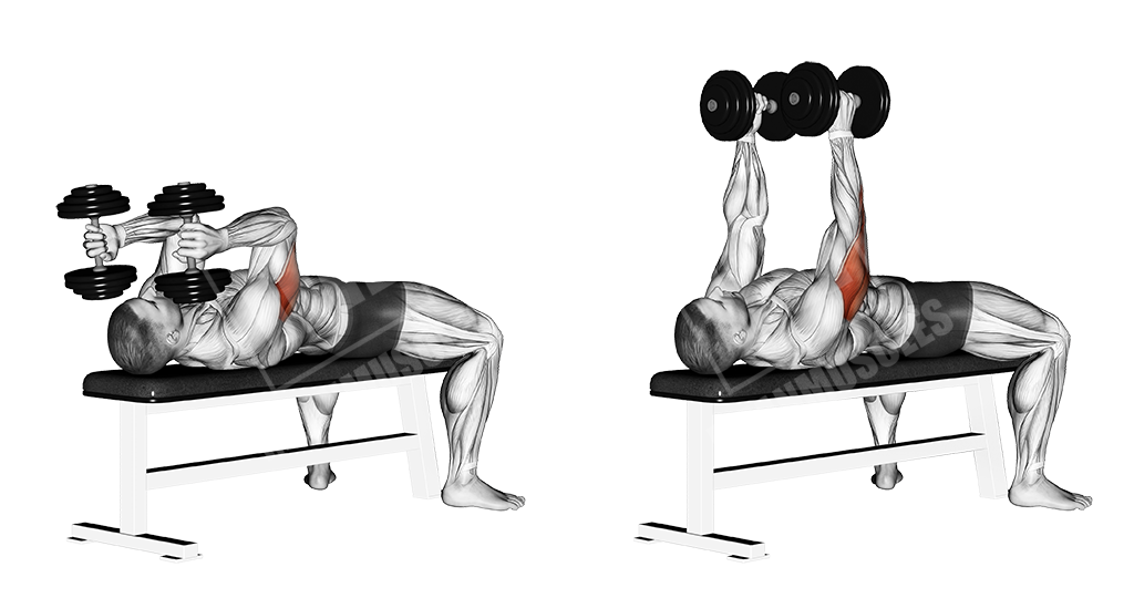 Dumbbell Lying Triceps Extension