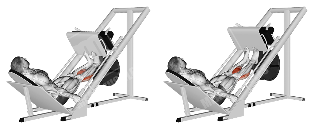 Leg press calf raises