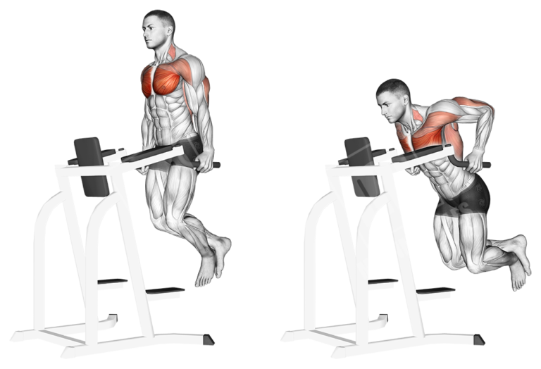 Best Chest Workout Meanmuscles