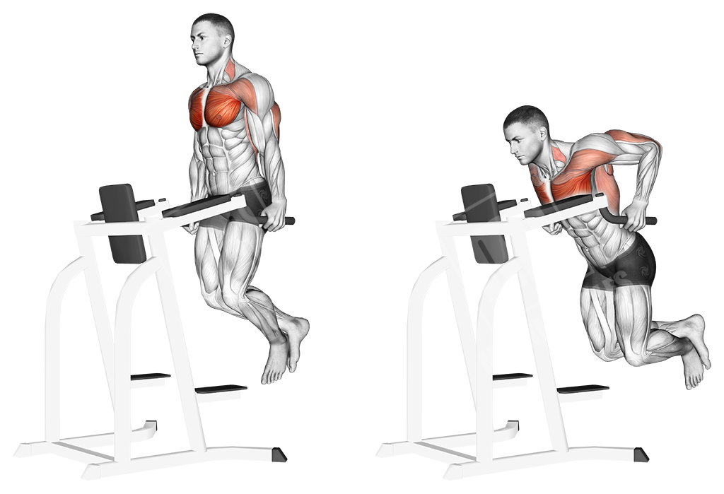 parallel-bar-dips