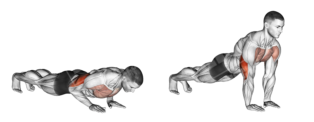 close grip push ups