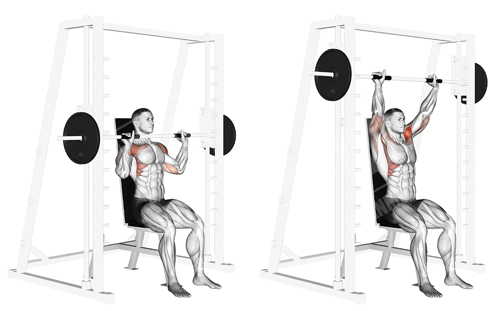 smith machine shoulder press