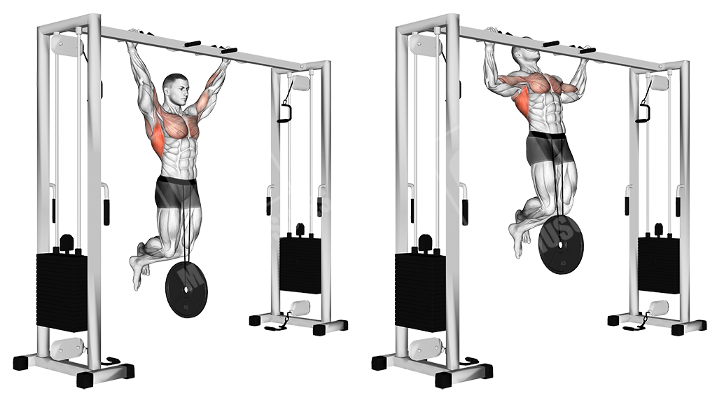 weighted wide grip pull ups