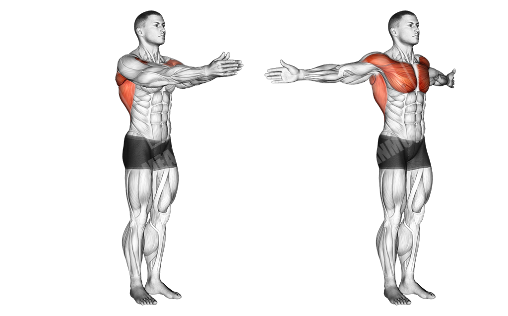 Dynamic chest stretches