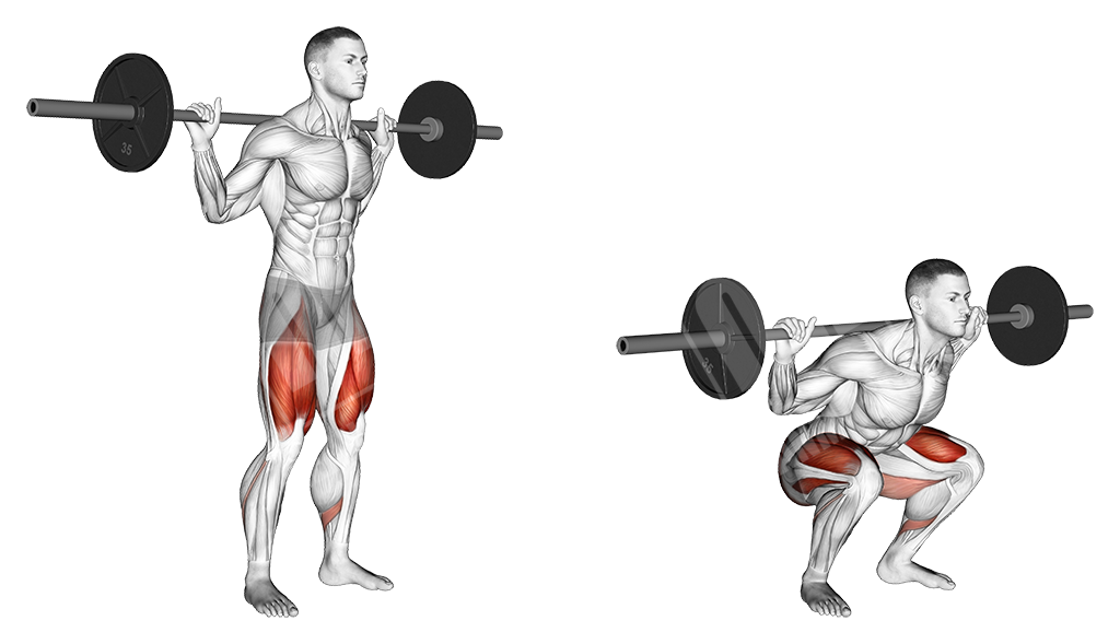 Low barbell squat