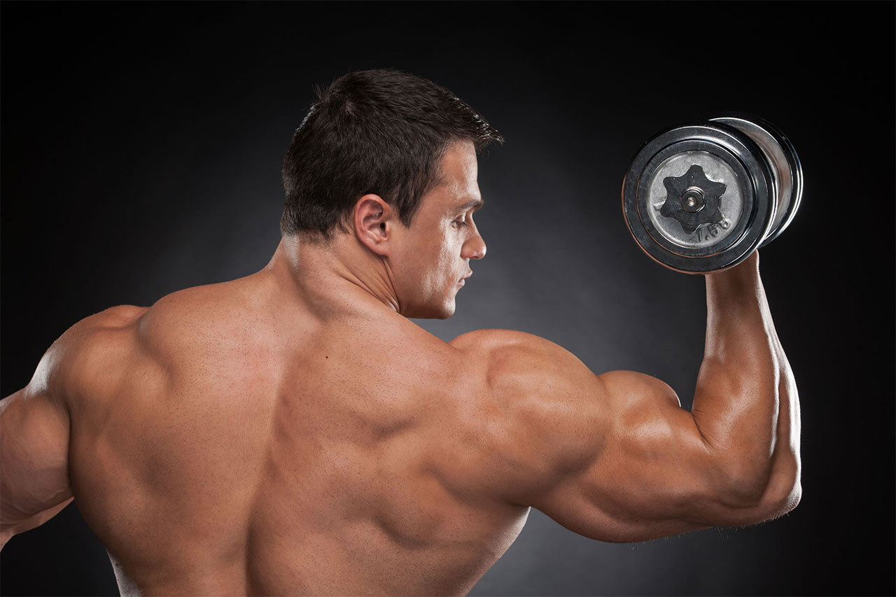 Peaky Bicep Workout