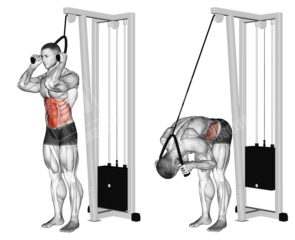 cable standing crunch