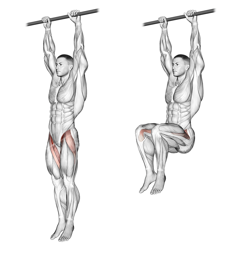 hanging leg raise