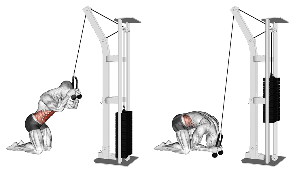 cable kneeling crunch