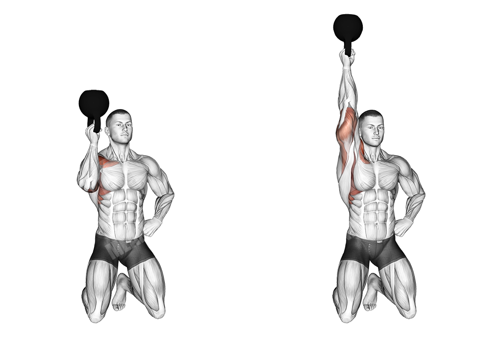 one arm kettlebell kneeling reverse