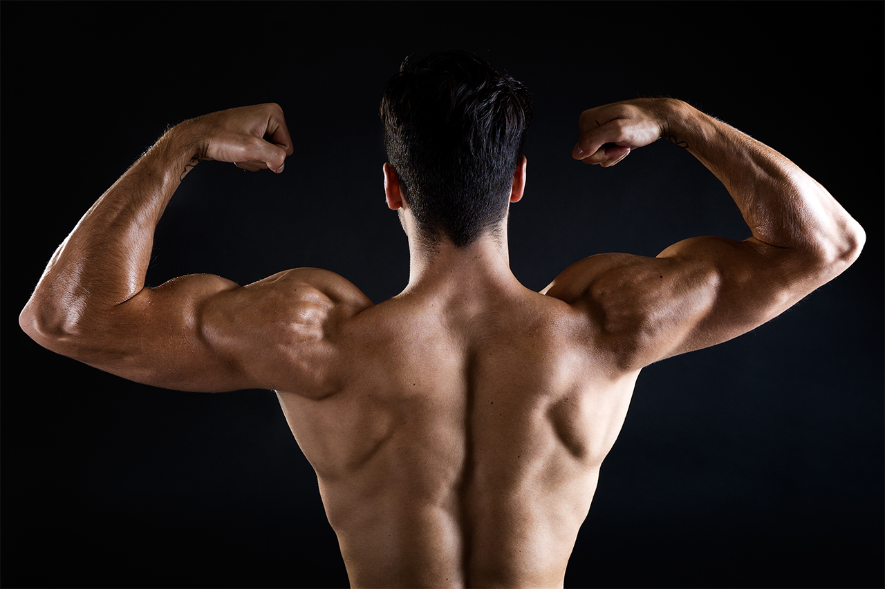 420+ Bodybuilder Showing His Back Muscles Stock Photos, Pictures &  Royalty-Free Images - iStock