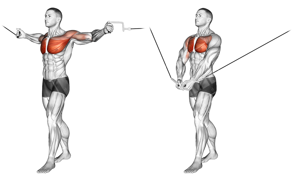 Cable Chest Fly