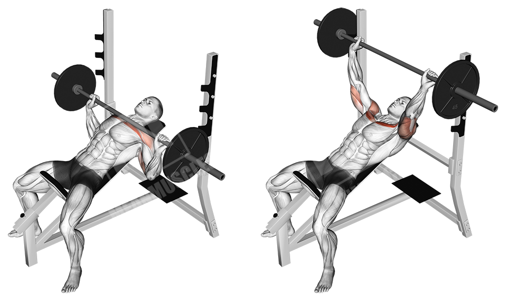 Incline barbell bench press