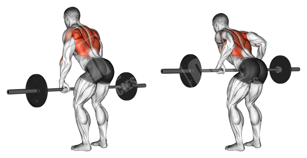 Bent-over barbell row