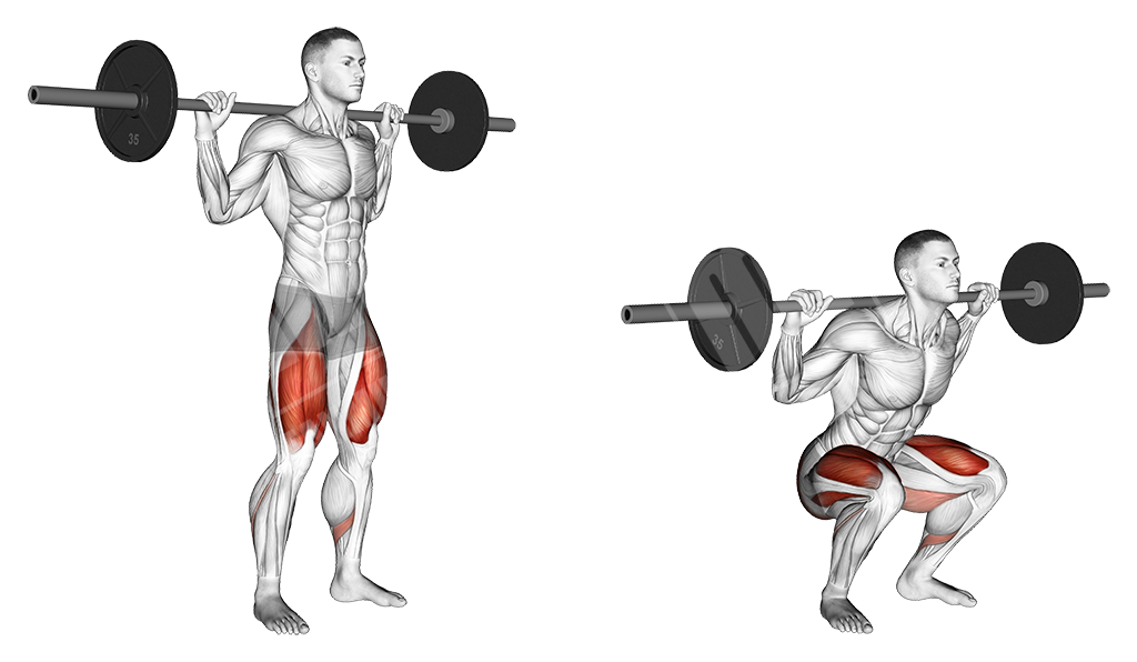 Lower Body Barbell Workout - Meanmuscles