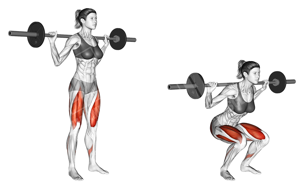 barbell squats female