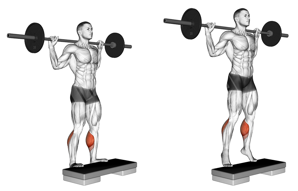 Standing barbell calf raise