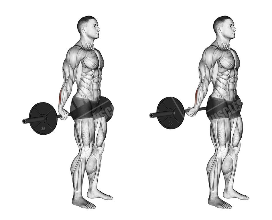 barbell wrist curl behind the back