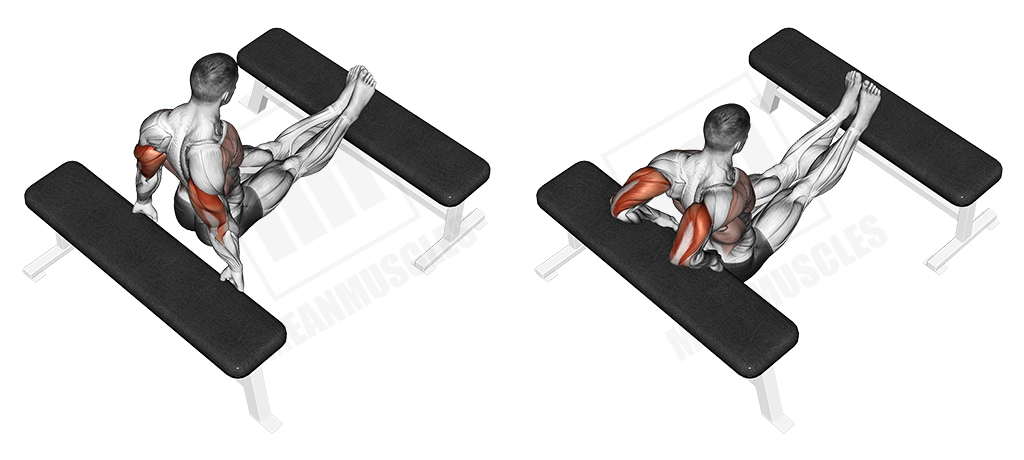 Triceps bench dips