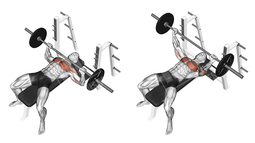 bench-press