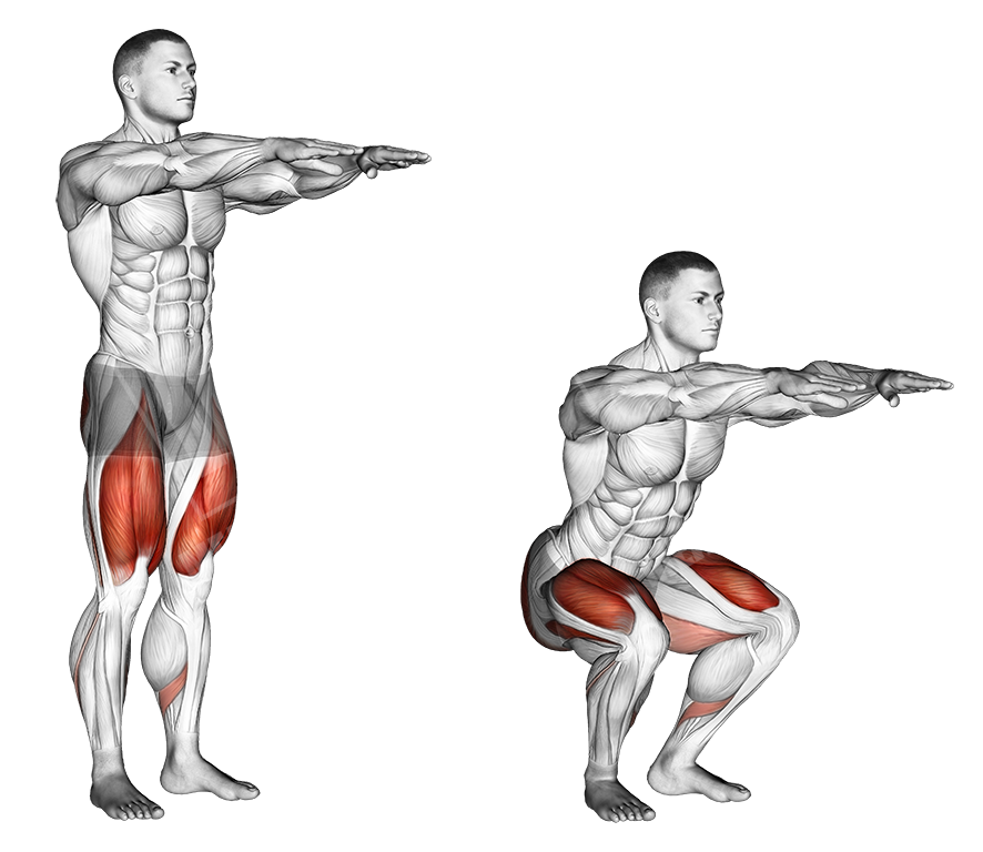 Leg Day: Squats and Deadlift Exercises to Fire Up Your Glutes, Quads and  Hamstrings - WSJ