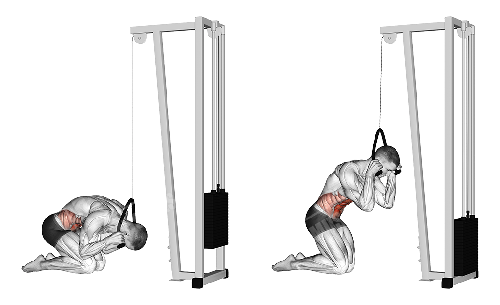 cable kneeling crunch