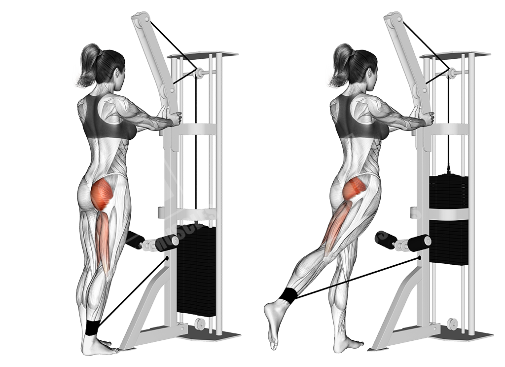 Cable standing hip extensions