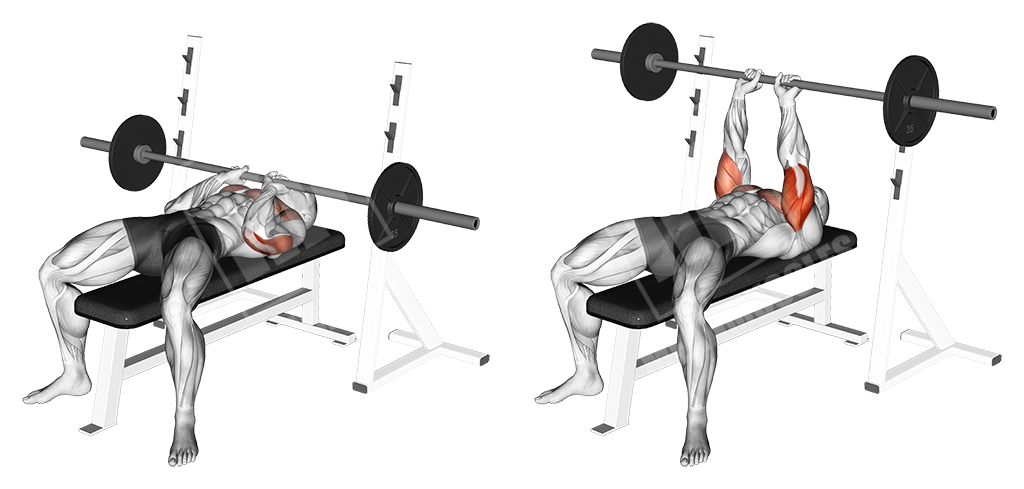 close grip barbell bench press