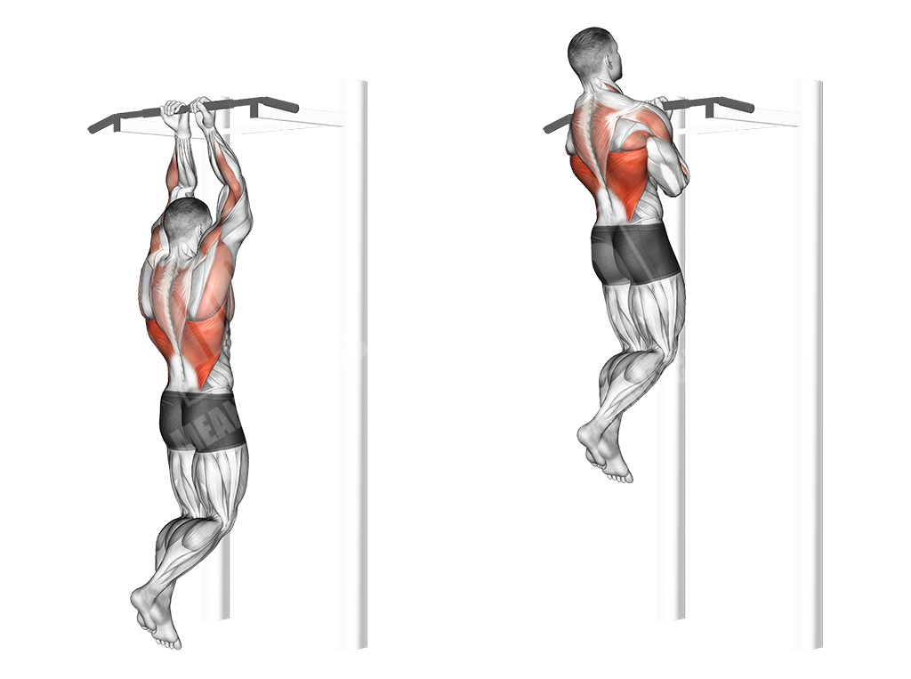 Pull Ups