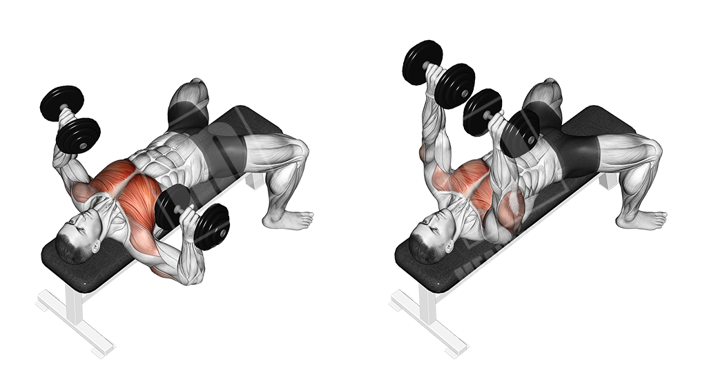 Flat Dumbbell Bench Press