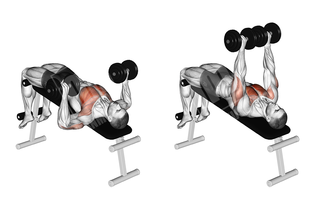 Decline dumbbell bench press