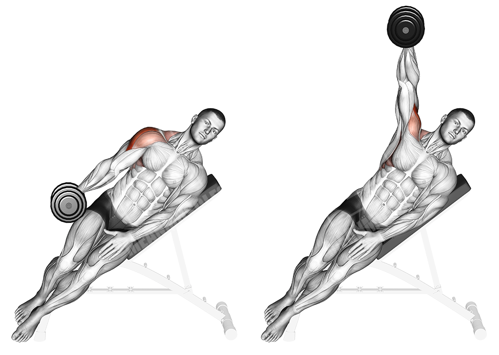 Incline bench dumbbell lateral raises