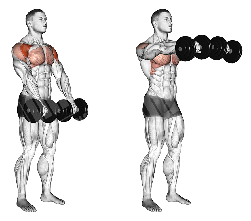 Dumbbell front raise