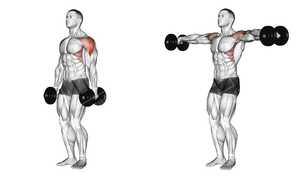 Dumbbell lateral raises