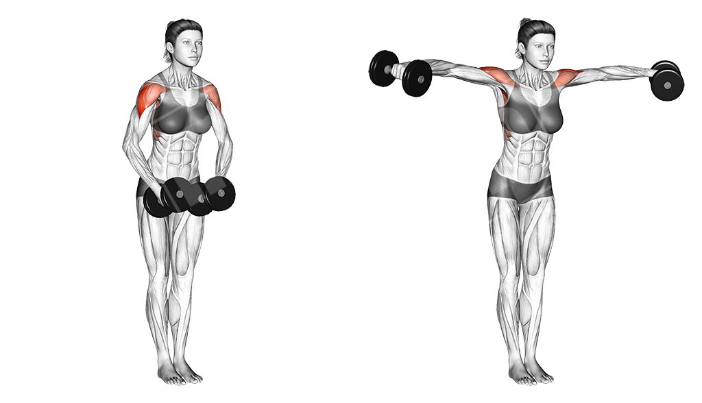 Dumbbell lateral raises