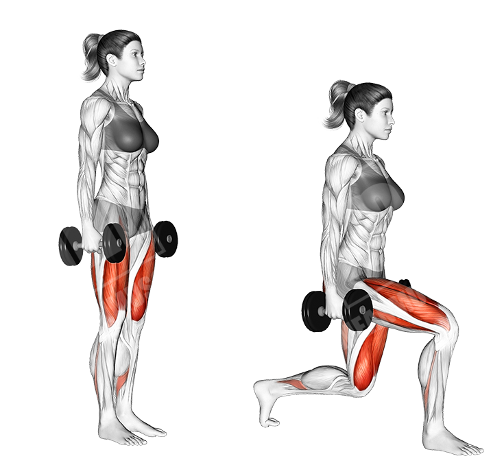 dumbbell lunges female
