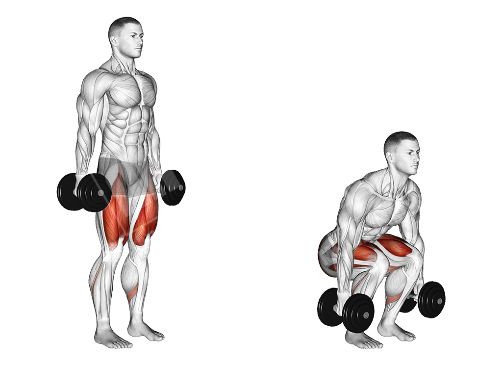 dumbbell squat