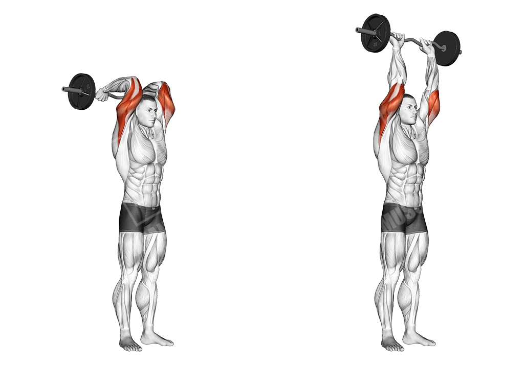 EZ bar overhead triceps extensions
