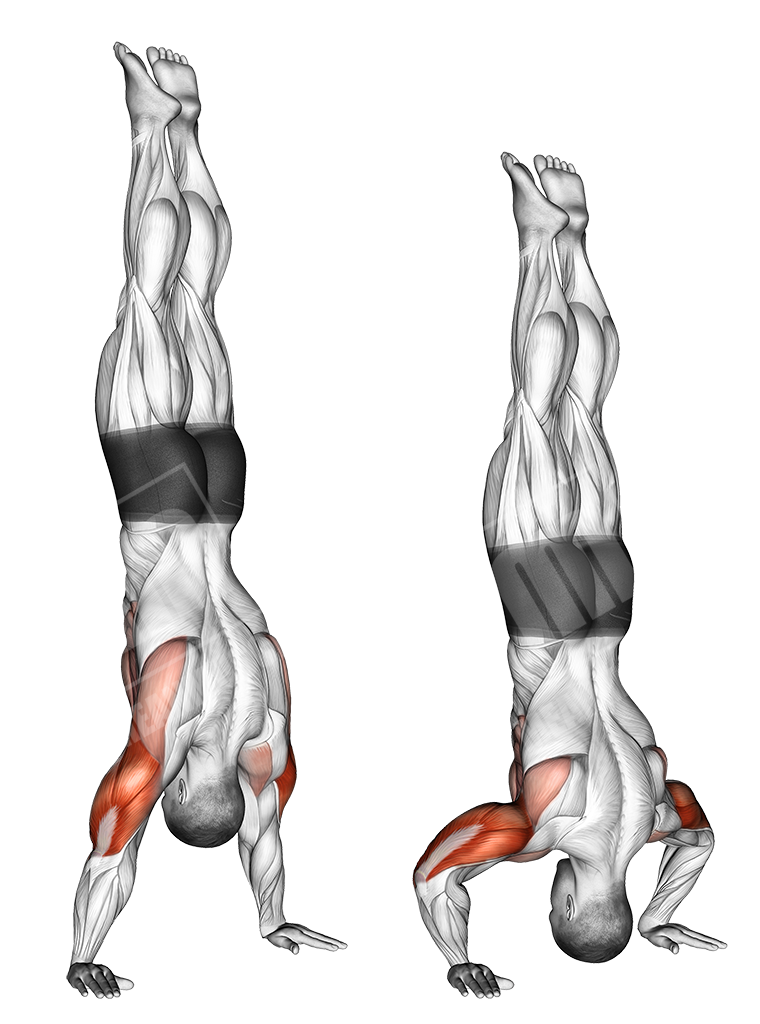 Handstand push-up