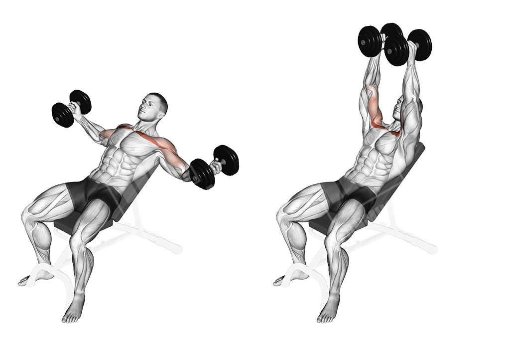 Chest Dumbbell Workout - Meanmuscles