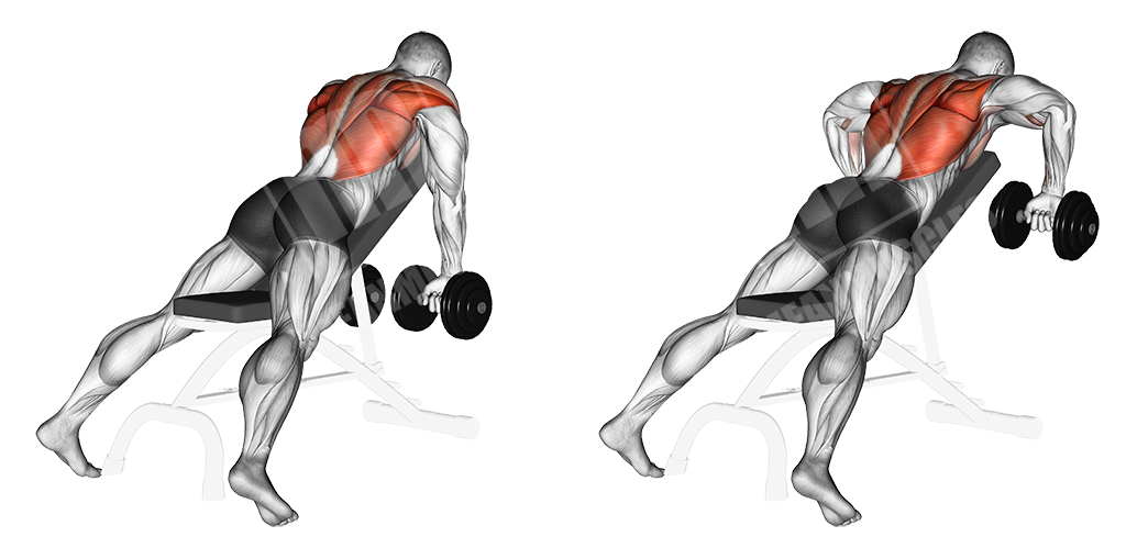 incline bench dumbbell row