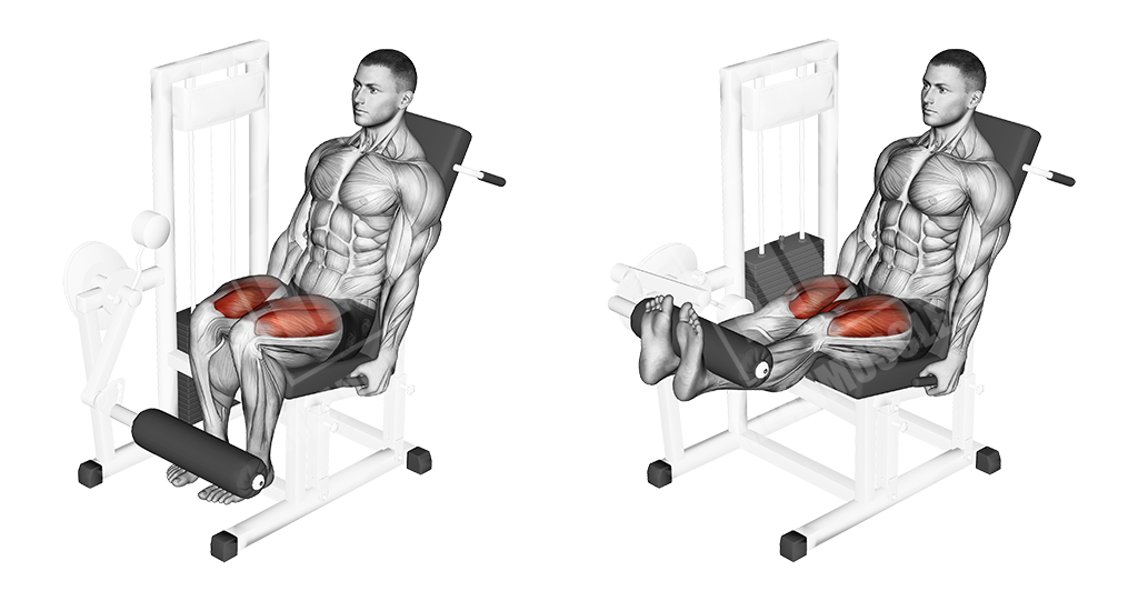 Lever leg extensions (Superset with next exercise)