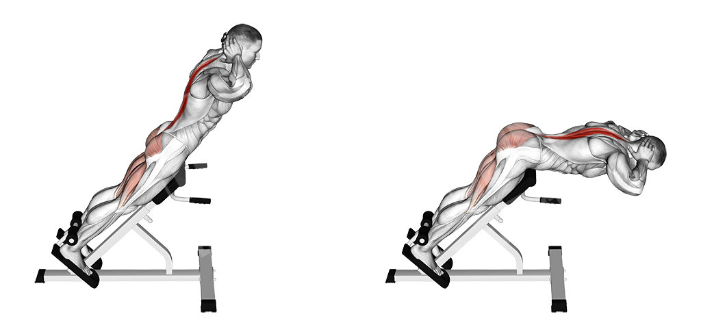 lower back hyperextensions