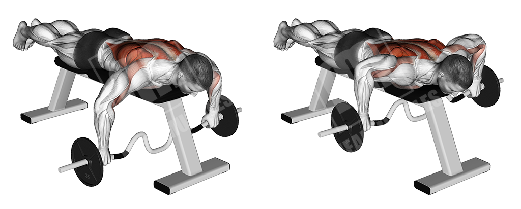 lying cambered bar row