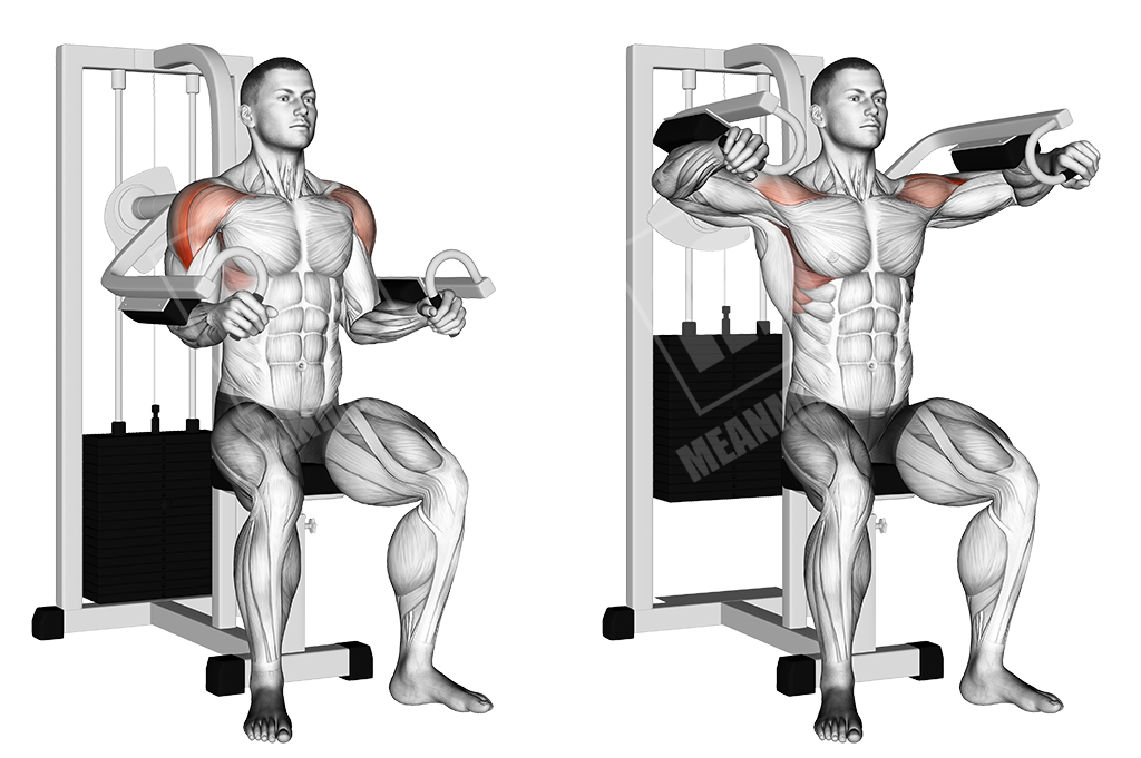 machine lateral raises