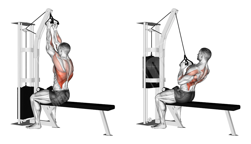 Narrow grip lat pulldown (with rope)