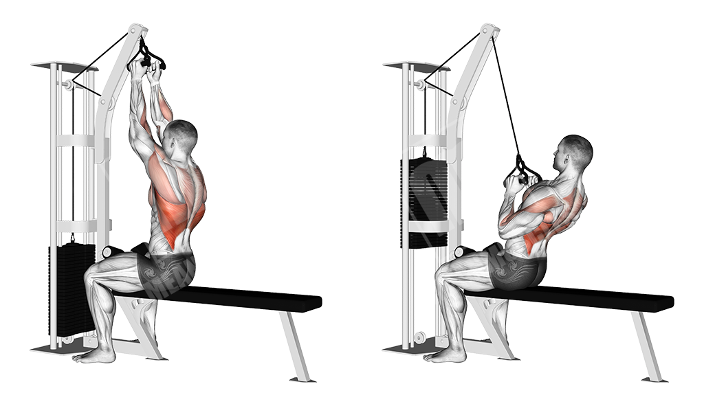 Narrow grip vertical pulldown (V-attachment)